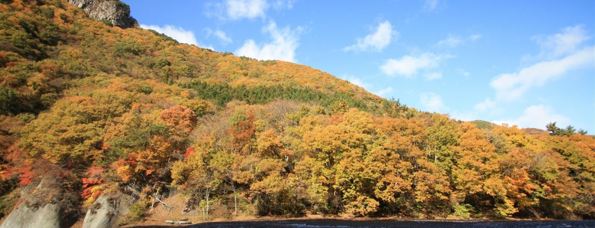 ȗv͌Qn̖gtX|bgIkJƍgt̃R{