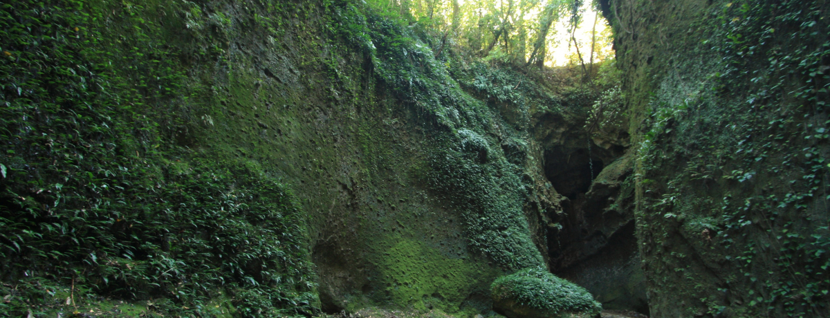 m̐iIhԂ鎩RX|bg10I