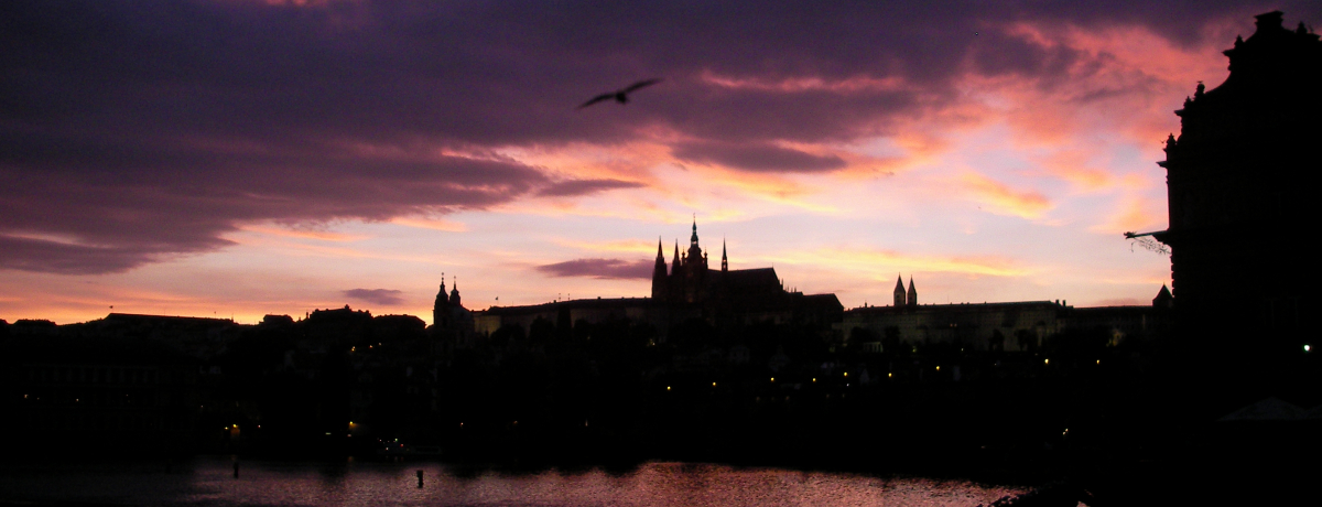 ����c�G��H�`�F�R�u�v���n��v�͂ǂ�Ȏ��ԑт��G�ɂȂ��