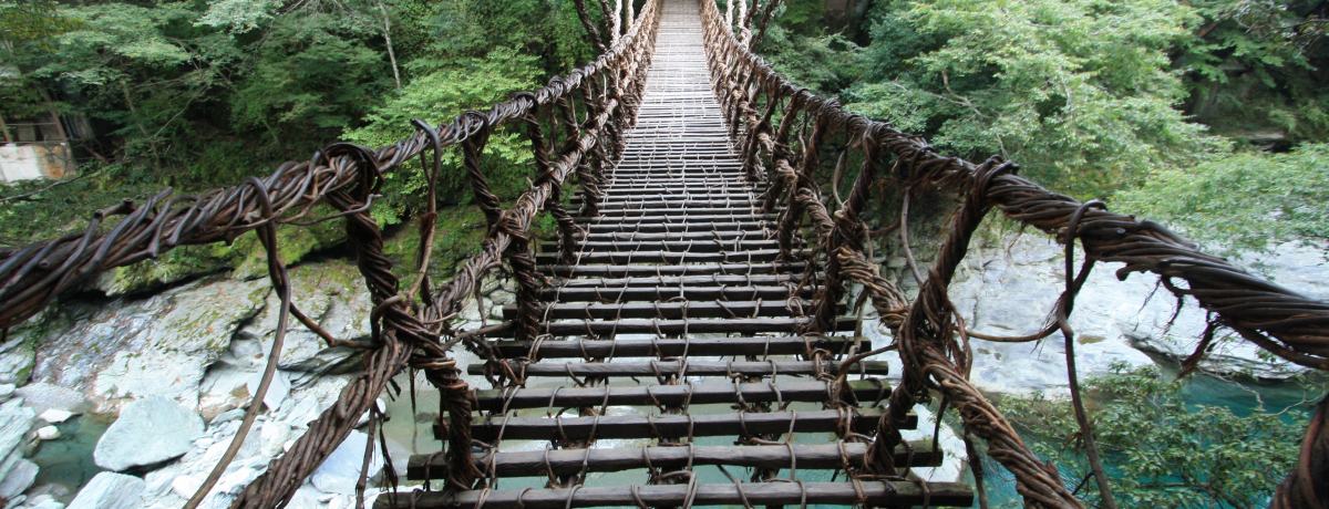 ݂苴ʂ͖{ɂ̂HŎȂ炱RI