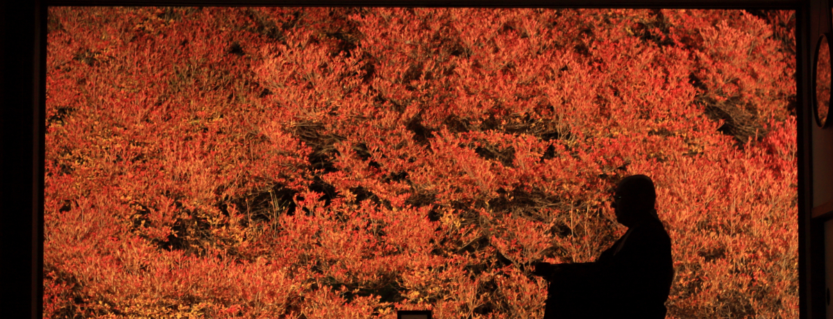 Ɂuv̍gtCgAbv͂܂ɏH̐iȂI