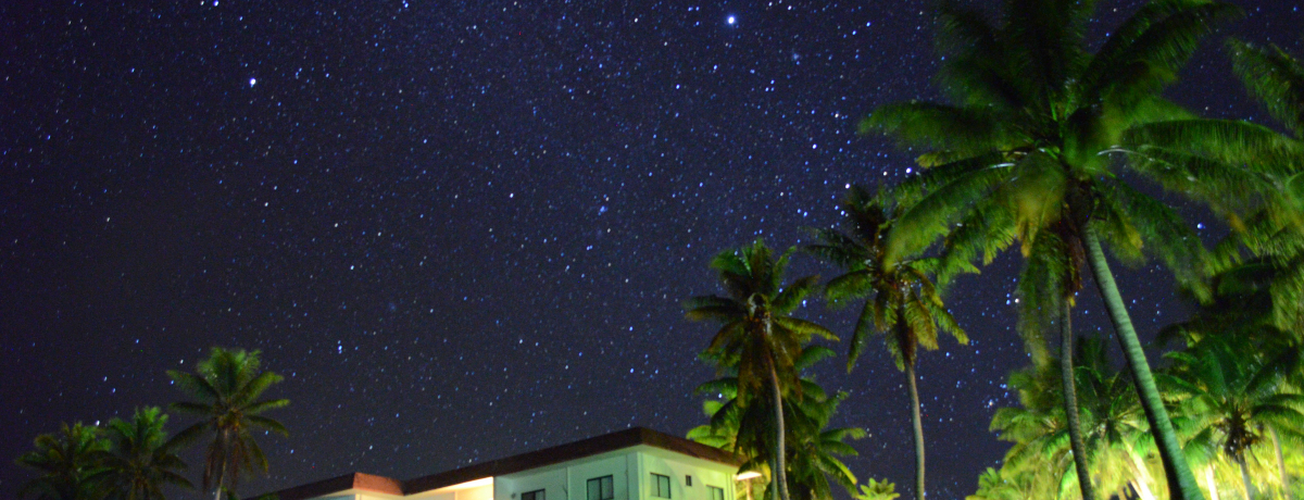 ��������i�I���^���ł̃X�e�C�́u���^���]�[�g�A���h�J���g���[�N���u�v