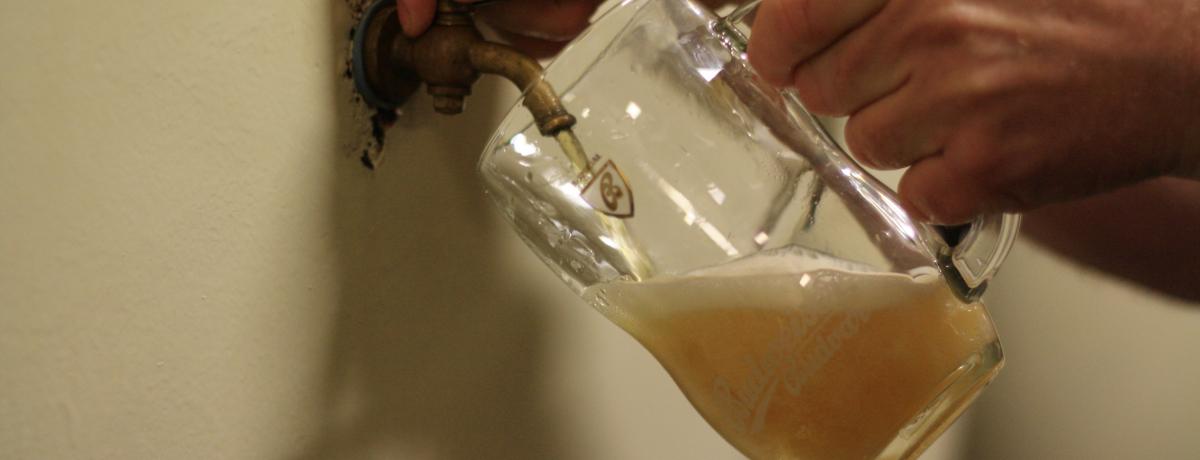 �`�F�R�r�[����m��I�u�h���@�C�[���E�u�h���@���̃r�[���H�ꌩ�w