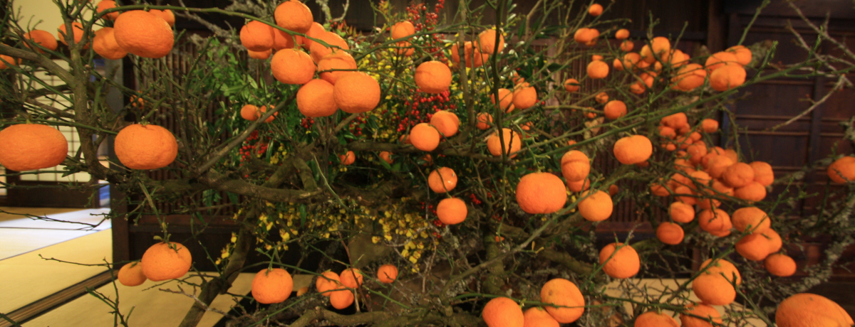 Ԃ̃A[g\IؓWuveɂĊJ