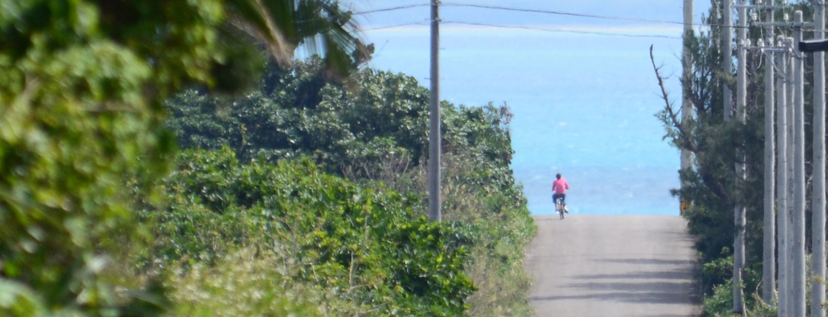 �Ί_�������_�ɖ��i�I���߂Ă̗����ό�2��3�����f���R�[�X