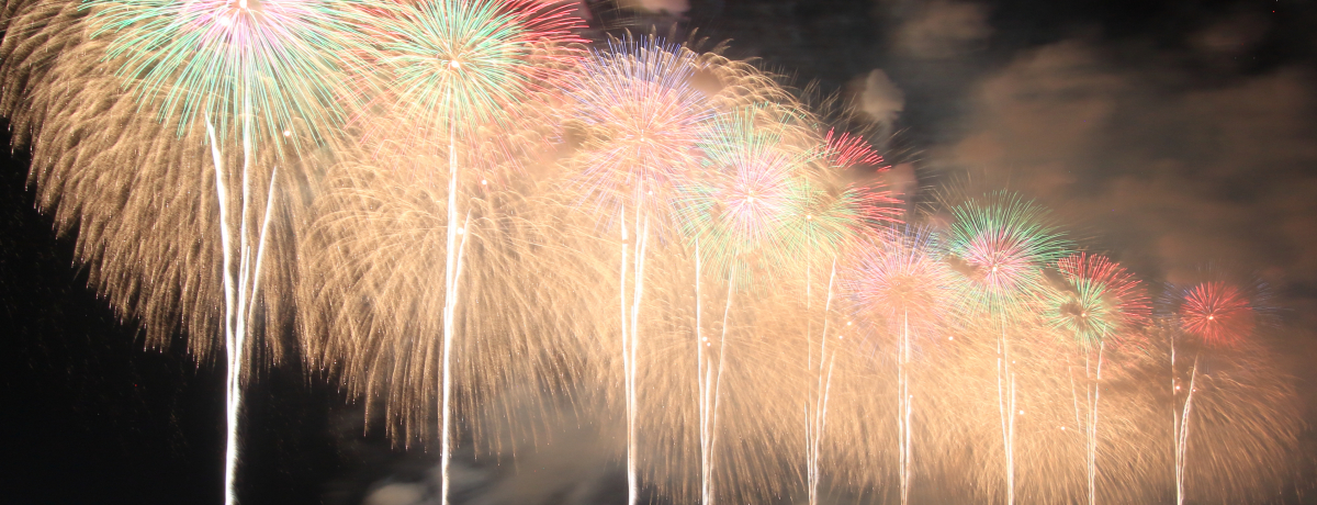 uԉ2019v̓tFjbNX15NIʂȉo