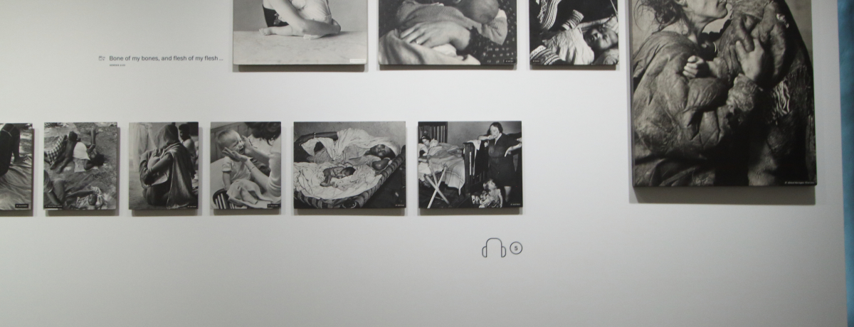 ���N�Z���u���N�̃N�������H�[�Ō��鐢�E�I�ʐ^�W�uThe Family of Man�v