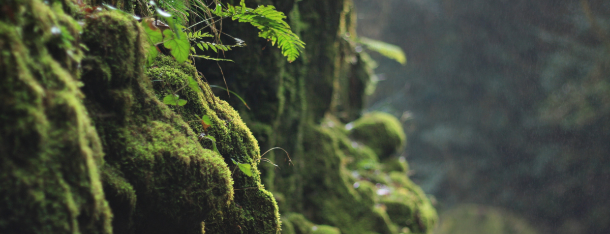 ͑ۂ̉BꖼňĂ!?Q̑ۂRX|bg