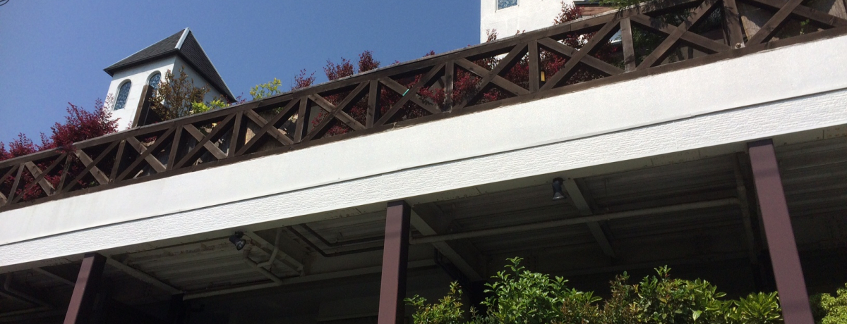 �S����BBQ�ƘI�V���C���y���߂�I�u�C�P���t�H�[���X�g�v�ŃR�e�[�W�𖞋i