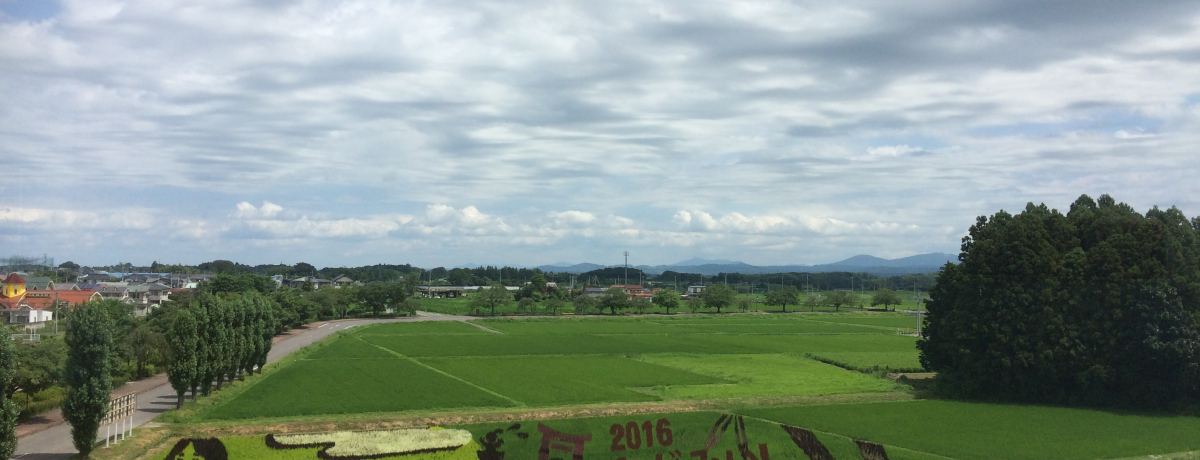 ���������Β� �����̃V���{���u�c��ڃA�[�g�v�����ɍs����