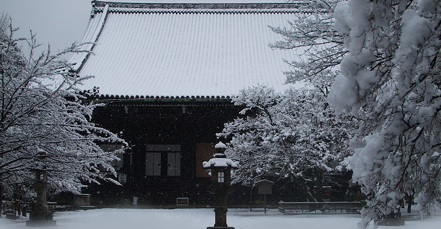 �Ⴊ�[�X�ƍ~�鋞�s�s���̎��ЁE�뉀�͌������Ȃ��ʐ��E