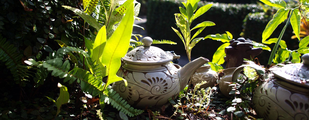 ߔeE≮₿ނʂłCɓ̈i܂