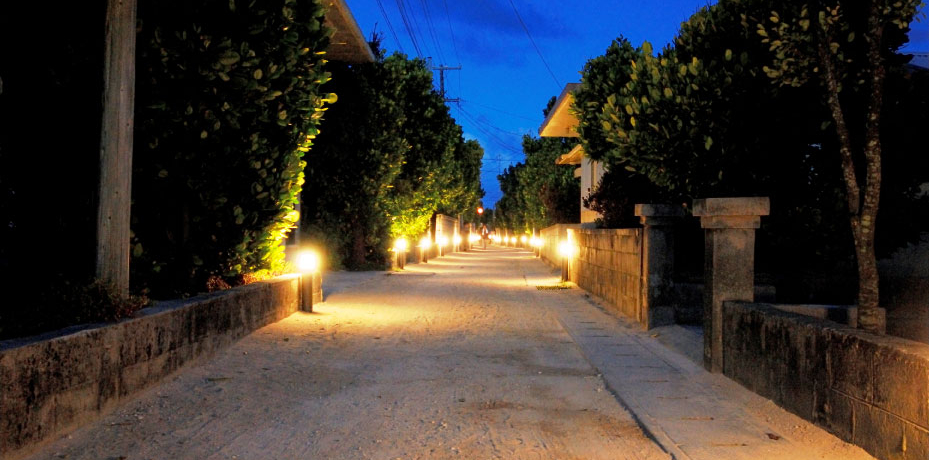 ���z�I�ȁu���̓��v������ɁI�n���쓇�E�t�b�g���C�g�ʂ肪����ۂނقǔ�����