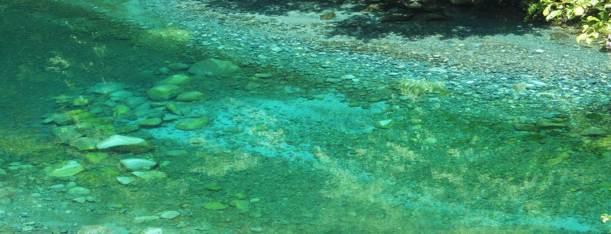 �u���[�ɋP���������_�ސ�ɁI�O��E���[�V���k�J�͐������Ղ̐�i