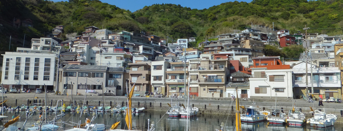 ܂Ńi|!?啪uی˓v͖H݂ȘHnʔ