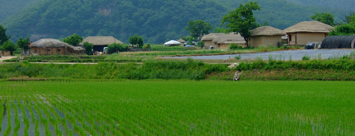 �؍��͒n�������ʔ����I�������΂������I�X�X���n���s�s�T�I