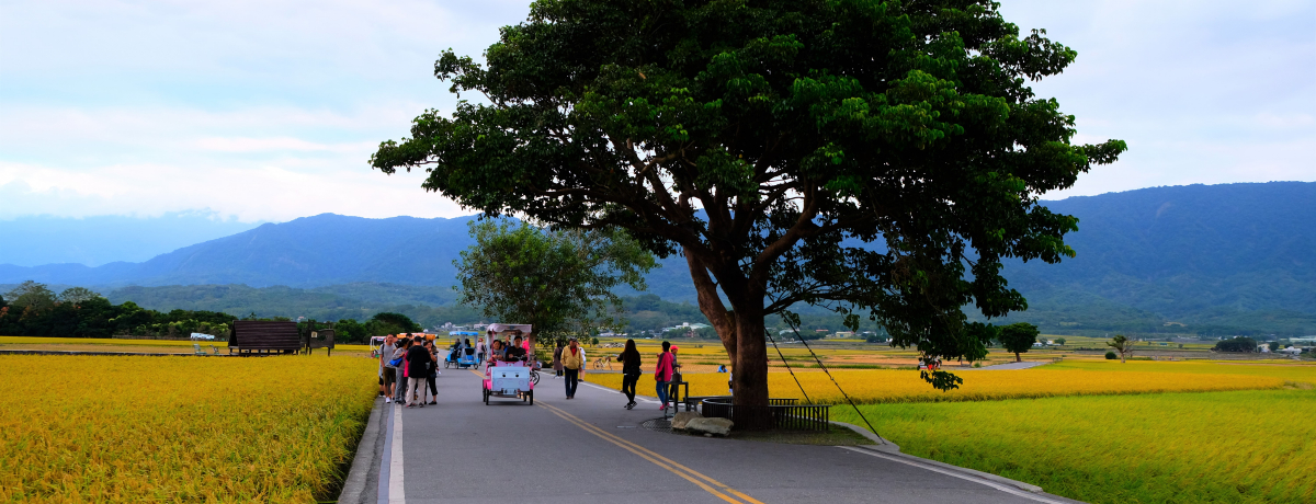 ڎẃu镐̖؁vIpErœcTCNO