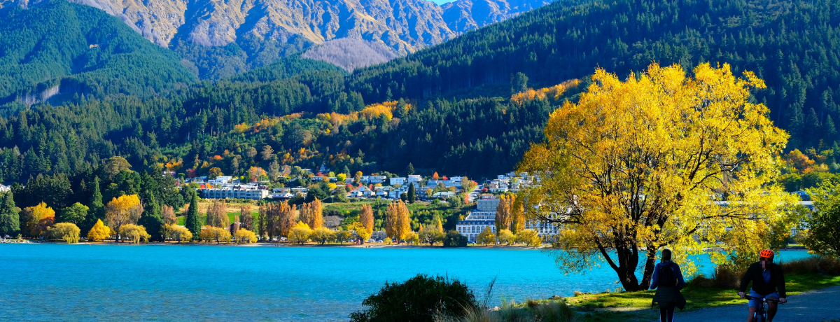 j[W[h4`5͉FIHɖKꂽ쓇̒5I