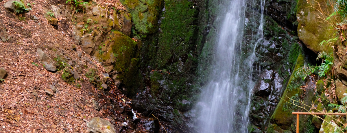 ���͑�̒����Ēm���Ă�!?���͌�����ő�߂�����y������