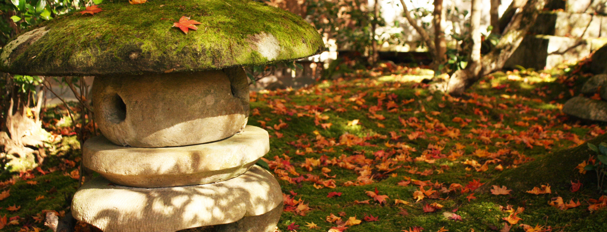 sE̋𕢂^ԂȍgtIۂނΓUI