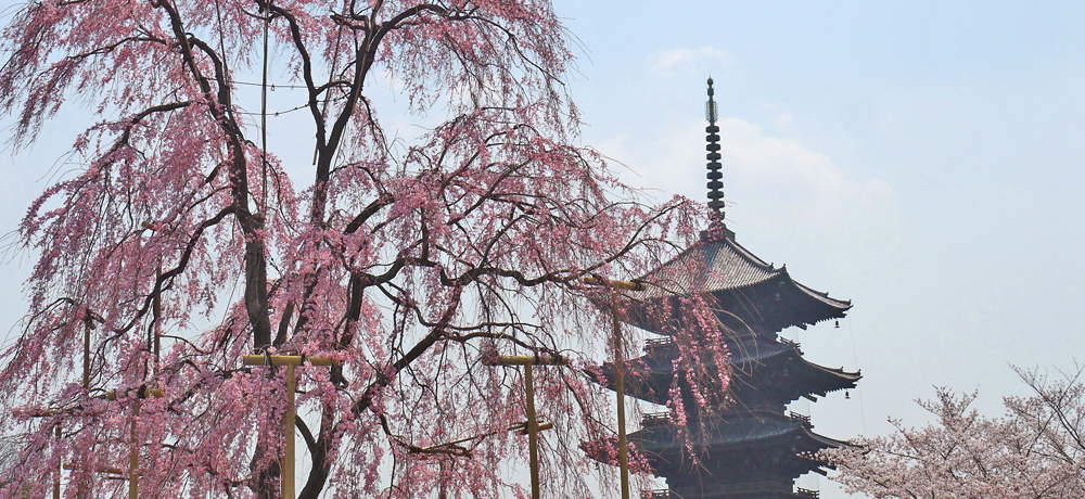 suv͋swӂňꉟ̍ĨCgAbvIXX