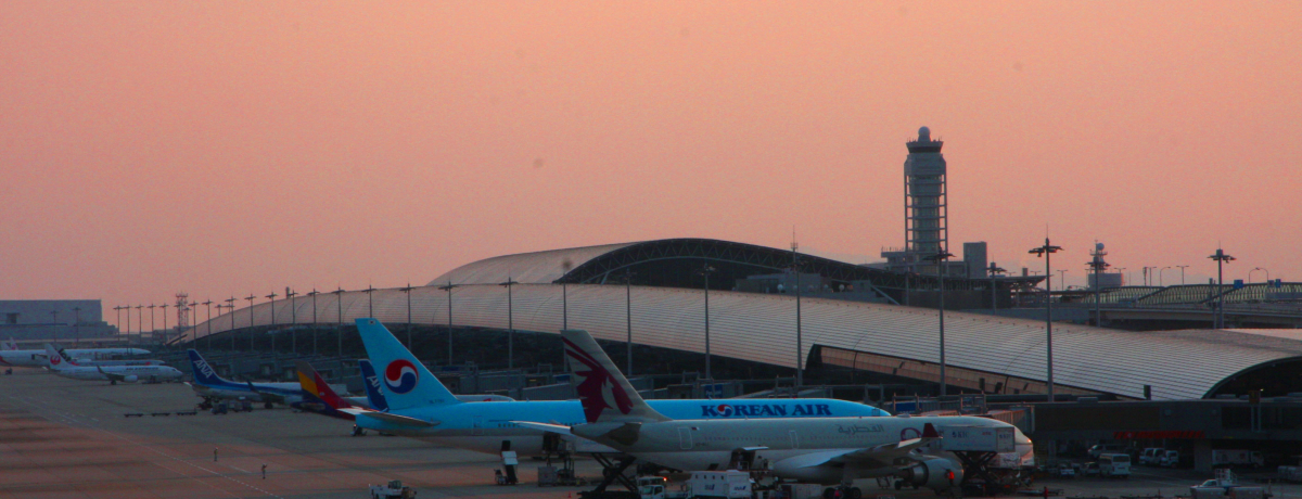 [Ɣs@̃R{I֐ۋ`XXOEiX|bg