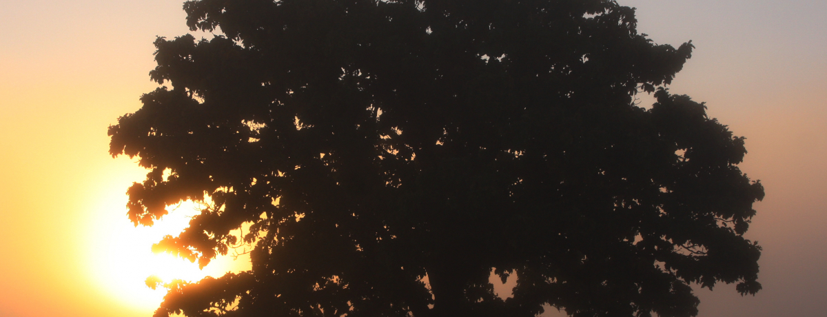 H̔lŊՂ̐iɏoIZuX^[̖؂RARn̖uԂLb`悤I