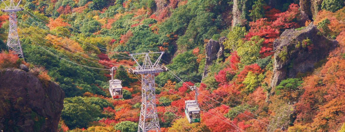 ̍gtukv̓[vEFCANZXōGm炸I