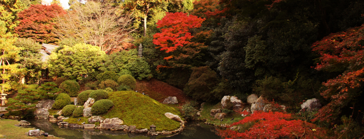 ���s�E����g�t�X�|�b�g�I�剜���P�n�̐@�@��Ղł������ƍg�t�Ɠ��{�뉀�����\�I