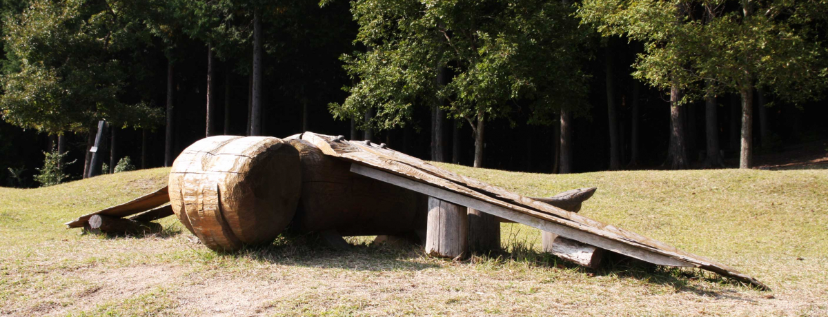 Řĩ~jm[IɁE̐XŎRƐGꍇ