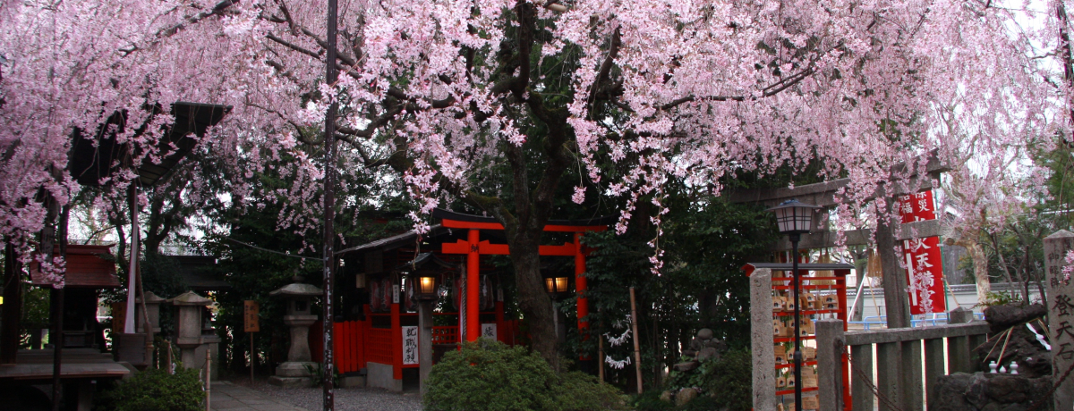 �m��ꂴ�鋞�s�̒�������X�|�b�g�I���w�G���A�̔���5�I�I