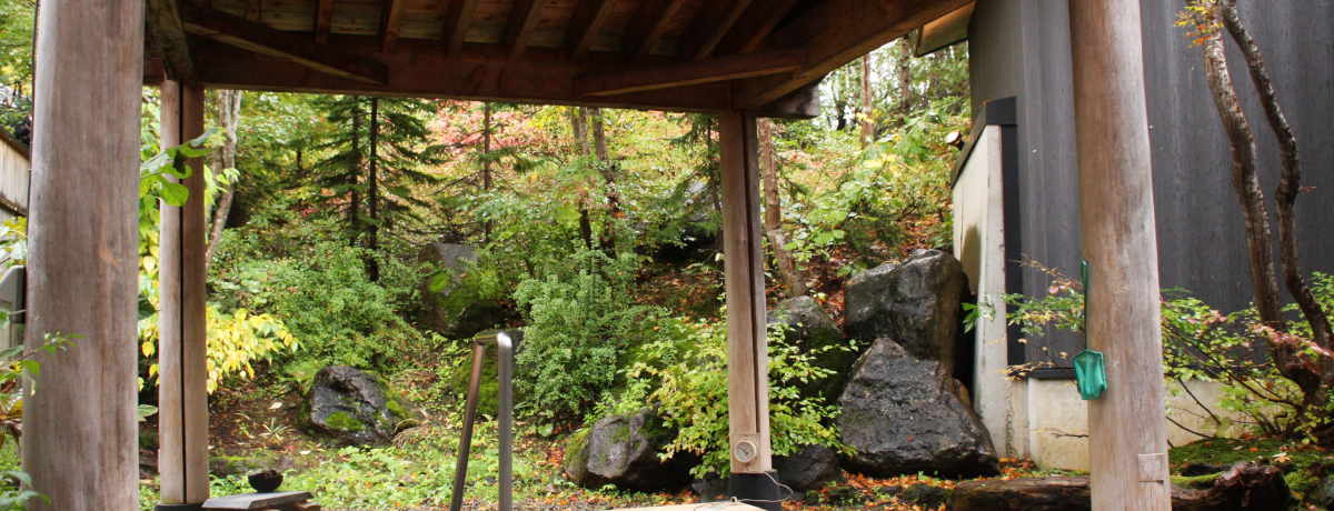 ���ϐ��̂悤�ȂƂ�`�艷��I�����f���̓����r�X�^���䍂���Ŕ����Q�b�g�I