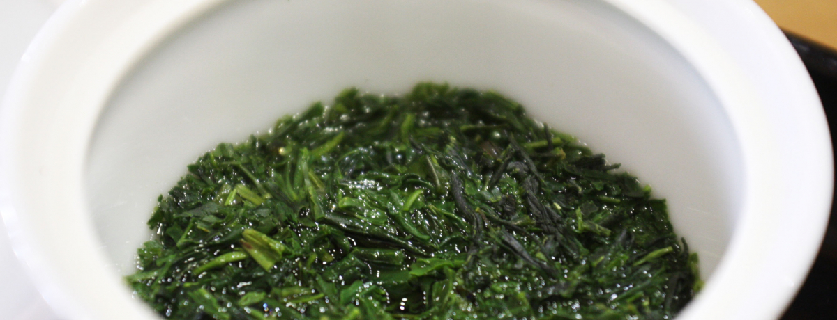 ���E�ň�̋i�����Ŗ��키�ɏ�̋ʘI�I�F�������� ���̊�