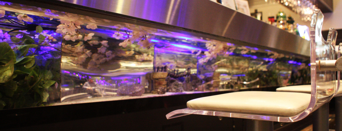 ��̓A�N�A���E���J�E���^�[�ň�t�I�����E�z�e���T�����[�g�L��