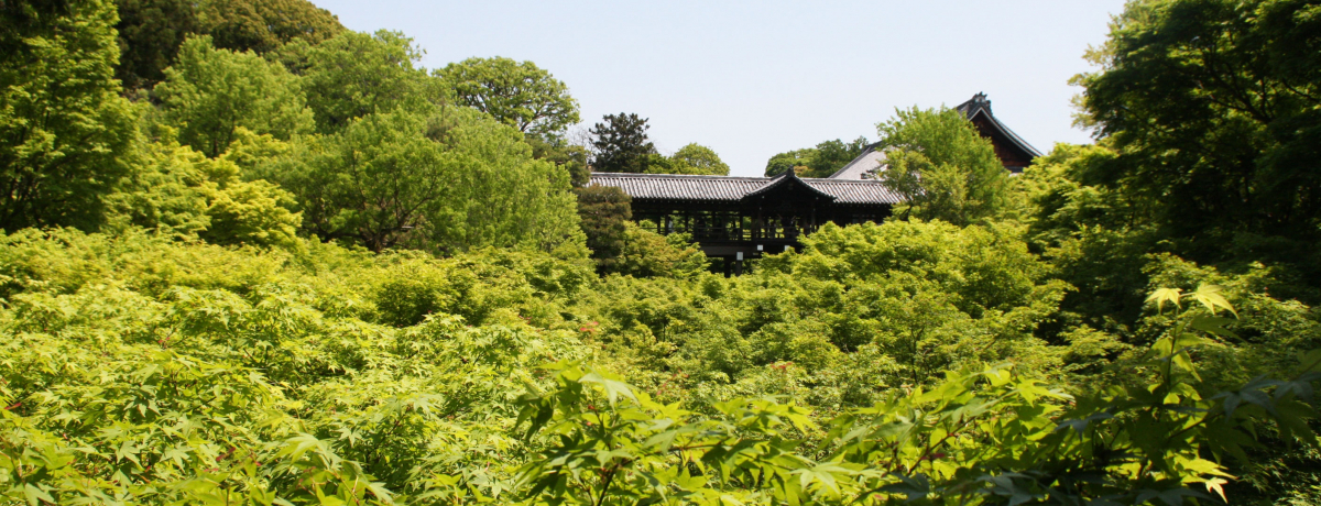 ���s�g�t�̖����u�������v�͐l�����Ȃ����Ă����X�X���I��ʗ΂̐��݂��ɂ����Ƃ�