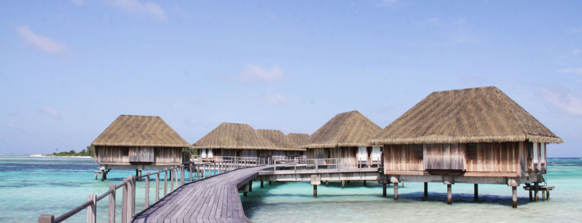 t[hEhNEANeBreB[INubhEfBu JjtBm[