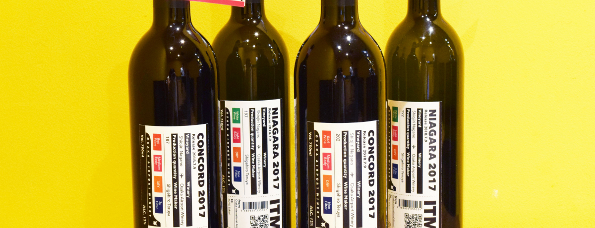 �ɒO��`�i��㍑�ۋ�`�j����̂��y�Y����l�C�I�������ߓy�Y13�I