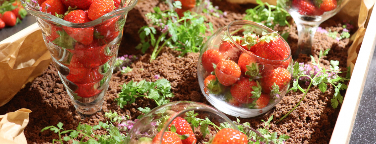 OIXgx[XC[c iCgubtFuzeOBAv