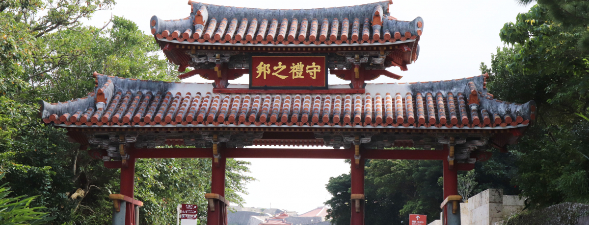 ̐EYE񗢏镜fR[XĐVȖ͔I