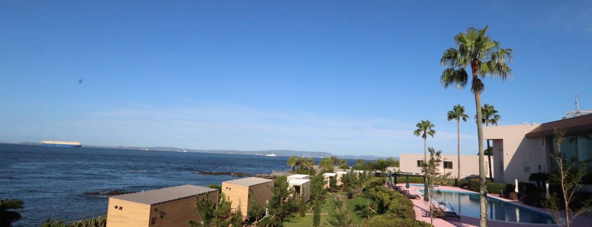 �����p�̐V���Ȗ��͂�̊��I�u���r�X�^�ω���e���X�v