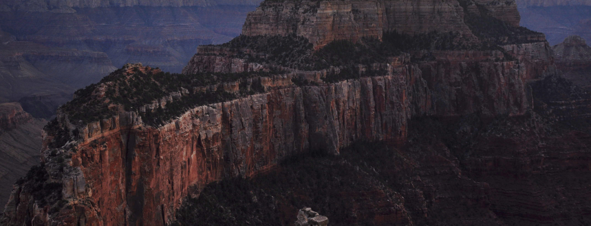 IOhLjIkǂ̌iFЂƂ肶