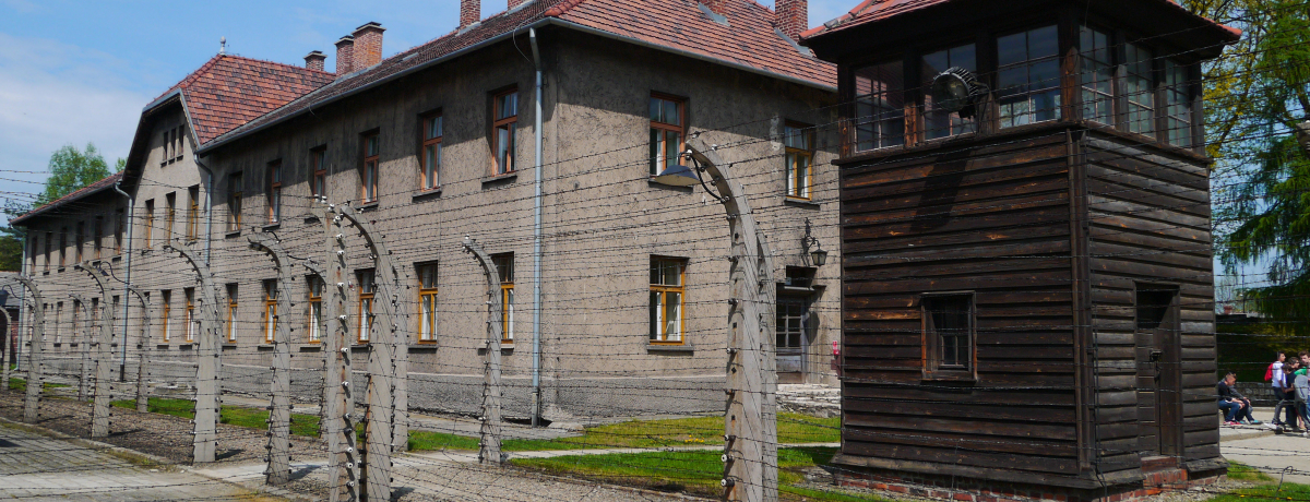 ̈YE|[h̋euAEVrbcErPiEفvK˂