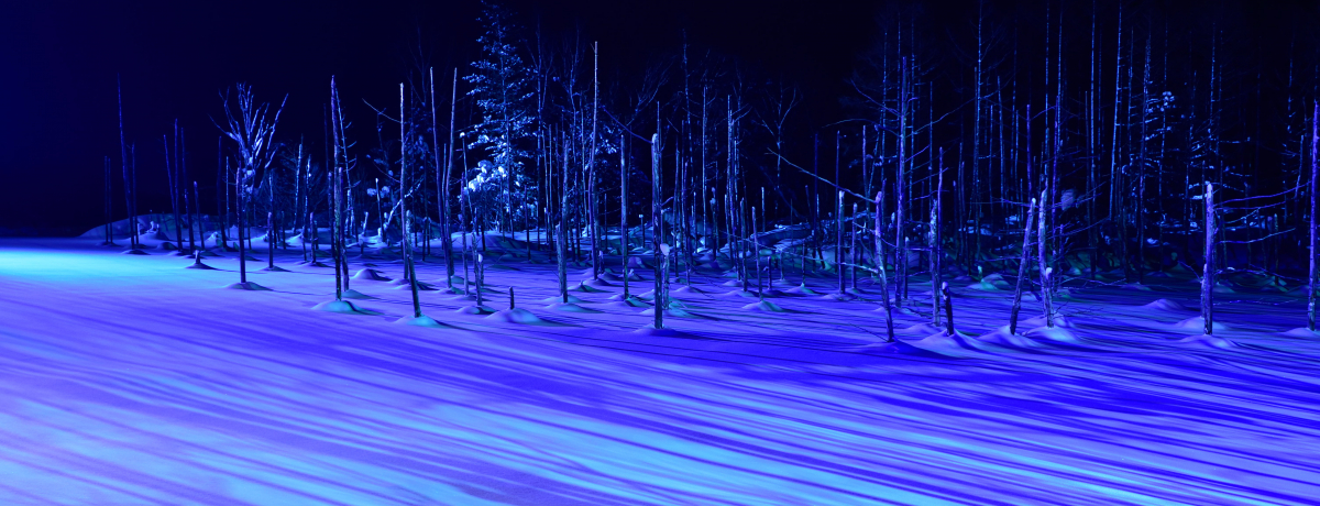 ~̔lEzIȐr̃CgAbvȂzeEuj[ɔ܂낤