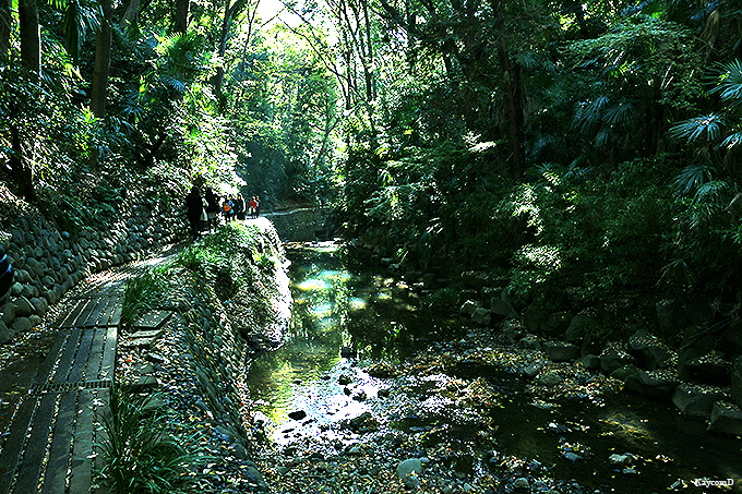 RR!?ANZXQuX͌kJv̖͂ƌǂ