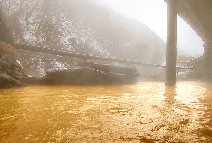 �����̓��ŉ^�C�A�b�v�I����̈ꌬ�h�u���J���򗷊فv�Ō��N�Ɖ^����ɓ����