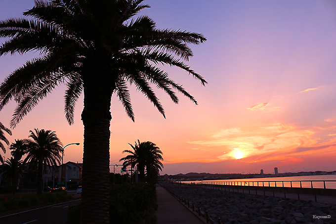 [̖I{̊ω肩nxC݂܂Łu݂̘Hv𒪕U