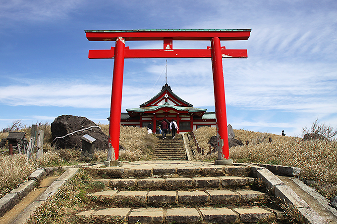 OЎQIŋ̃p[X|bgŋ^ɓ悤