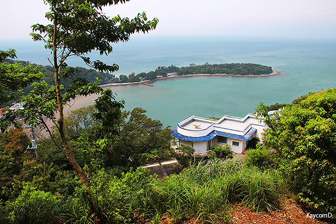 ɓsvc̑吣IC̐_lJꂽȖ