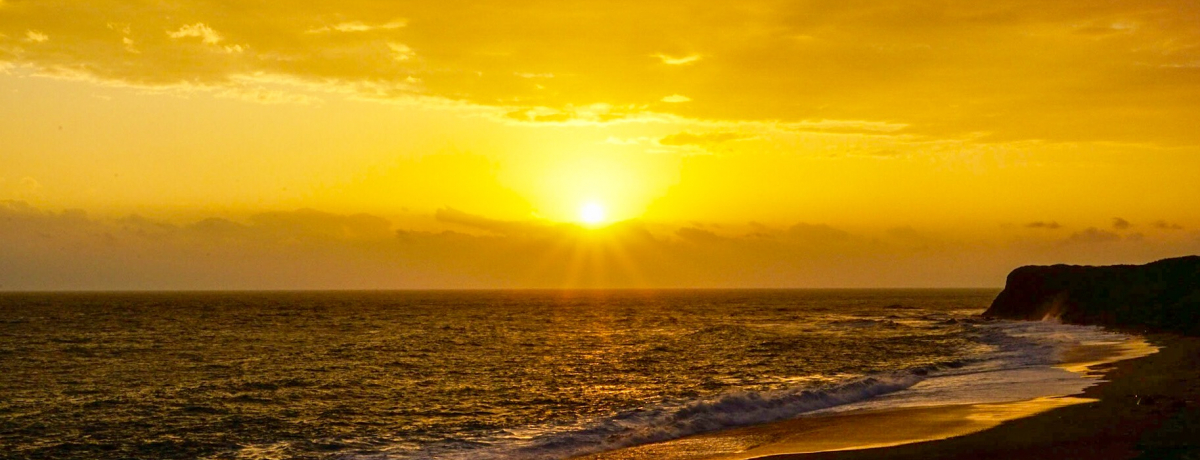 ���̏o���������C�ӂ̃z�e���I��p�Ԙ@�u�����K�n��ѓX�v�Ŏ��Ԃ�Y���x����