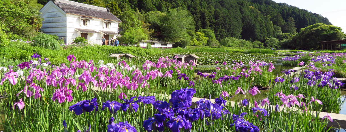 �|��s�u���Α��Ԓ����v�������~�ɍ炫�ւ�ԏҊ��ƃA�W�T�C�͈����I